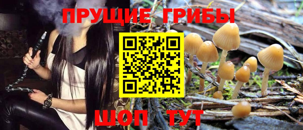 Псилоцибиновые грибы GOLDEN TEACHER  Вход с VPN  Джанкой 